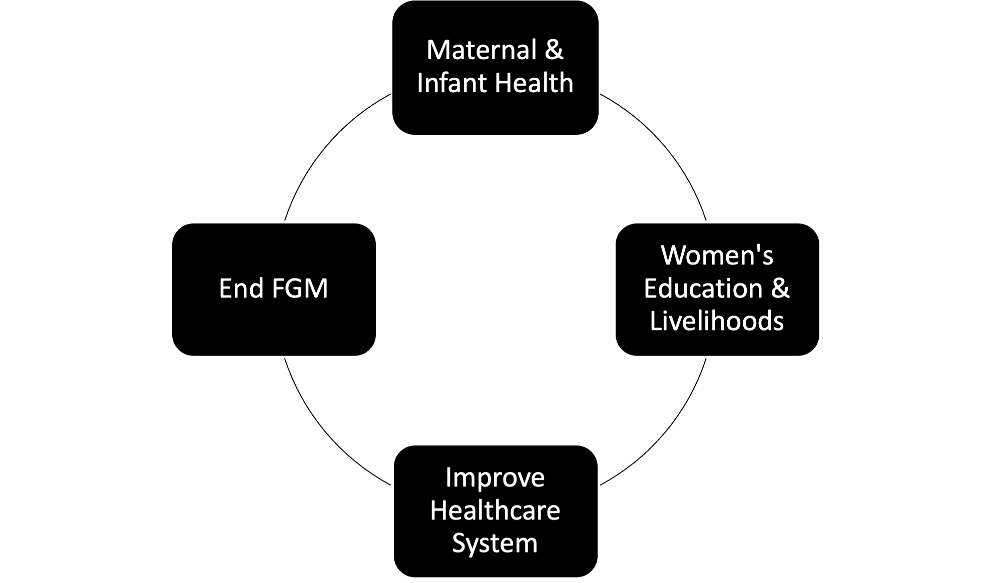 Graphic that shows the relationship between maternal health, women's education, healthcare system and end of FGM